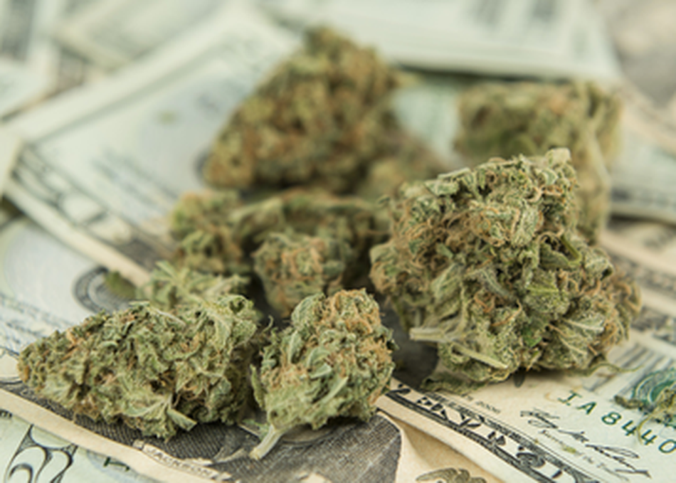 Silicon Valley 2.0: Cannabis Startups