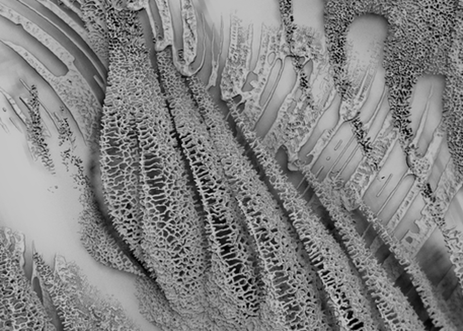 From Mud Cracks to Buildings: Endemic Interstices