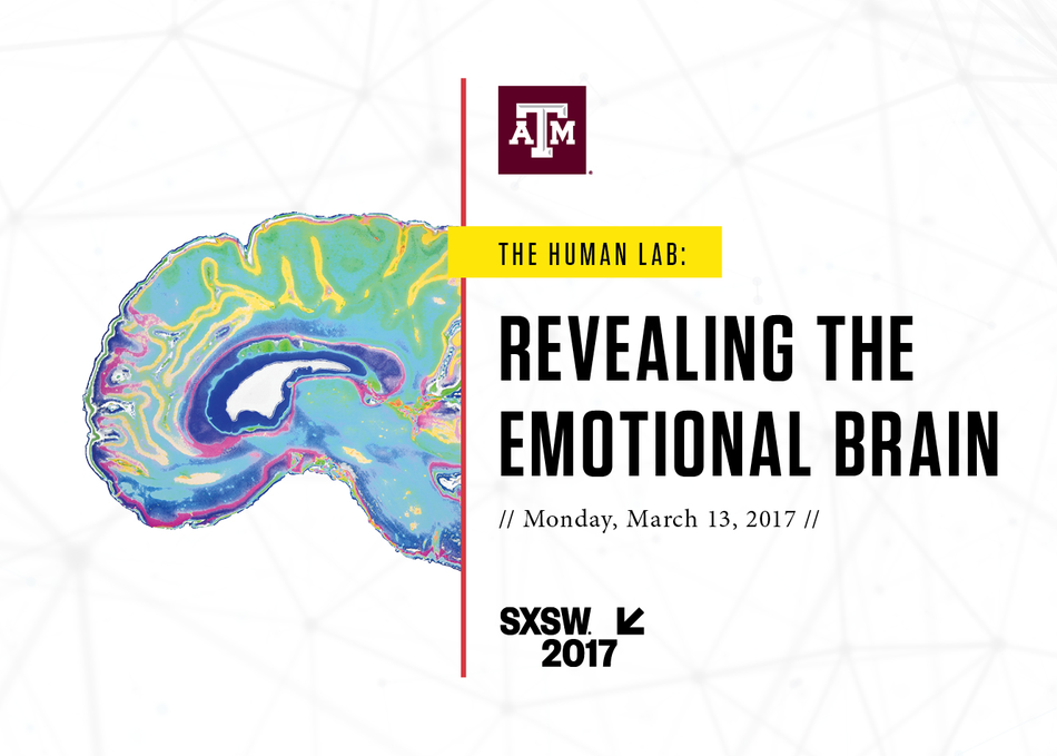 The Human Lab: Revealing the Emotional Brain
