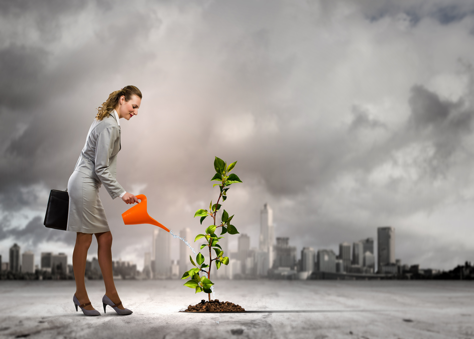 Beyond The Bottom Line: Setting a New Bar for VC