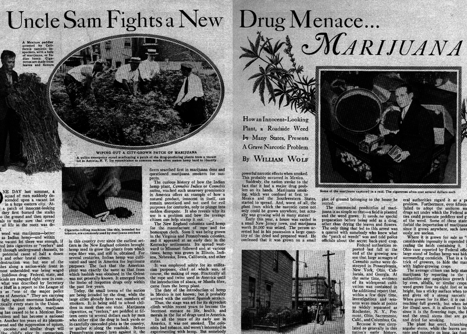 Reporters’ Perspectives on Marijuana Legalization