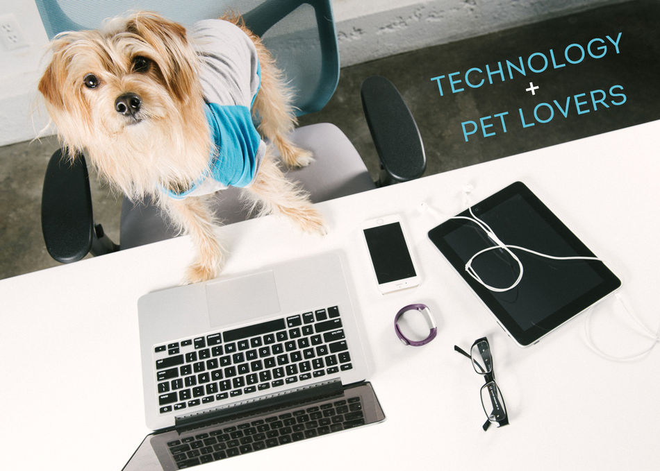 Technology + Pet Lovers Meet Up