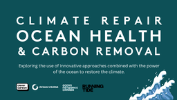 Climate Repair, Ocean Health, and Carbon Removal