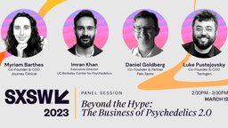 Beyond the Hype: The Business of Psychedelics 2.0