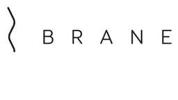 Brane Audio Lounge