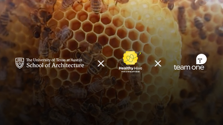 Thinking Outside the Hive: Designing Tomorrow's Beehive