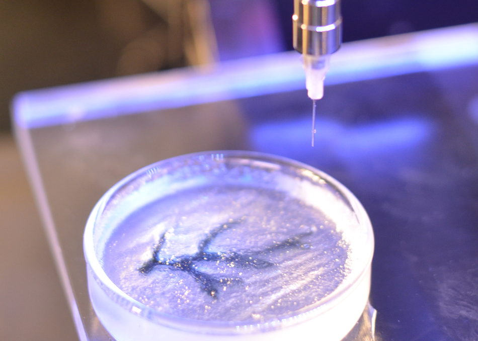 The Future of Healing: Engineering Longer Life