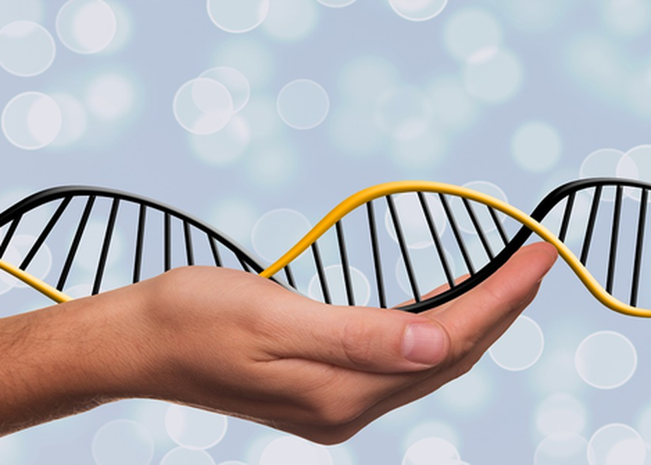 Personalized Medicine: Trends, Challenges & Future