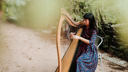 Musical Interactions between Harp and Plants With Andrea Cortez