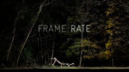 SXSW Art Program Installation - “FRAMERATE”