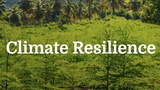 Breaking the Cycle: Building Climate-Resilient Communities