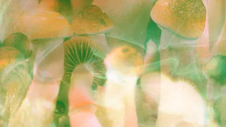 The Ethics of Mainstreaming Psychedelics
