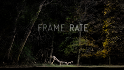 SXSW Art Program Installation - “FRAMERATE”