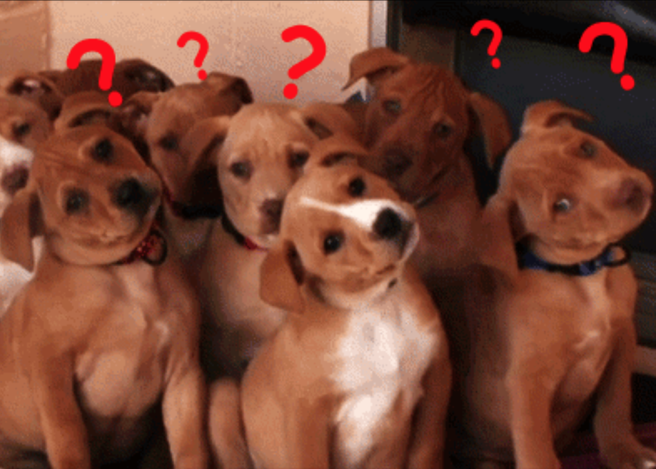 How to Help the Newbie: Demystifying Day One