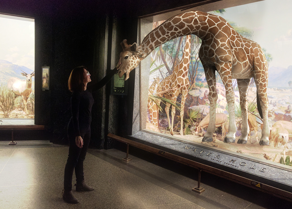 Museums of the Future