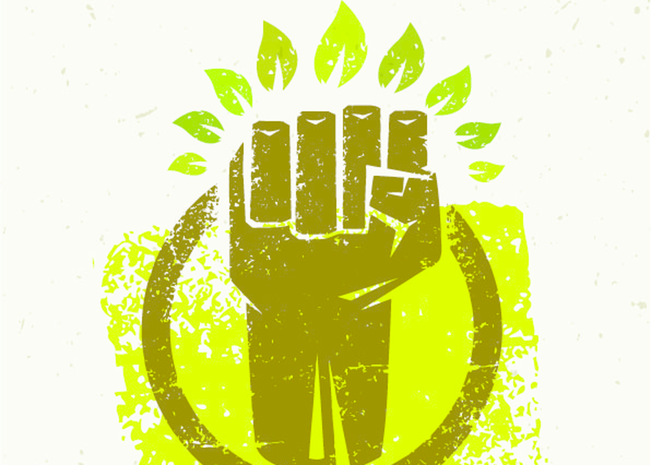 Algae, Not Animals: The Plant-Based Revolution