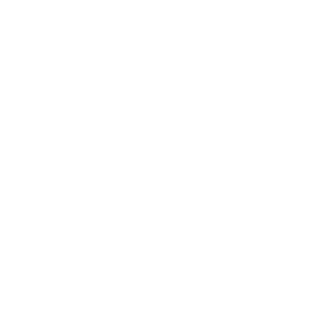 Numbers Protocol