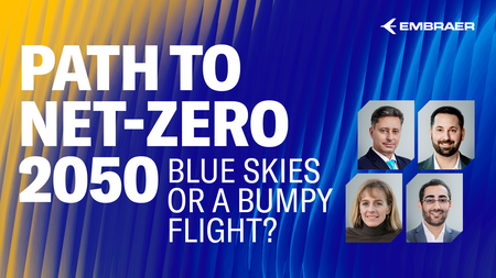 Path to Net-Zero 2050: Blue Skies or a Bumpy Flight?