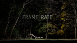 SXSW Art Program Installation - “FRAMERATE”