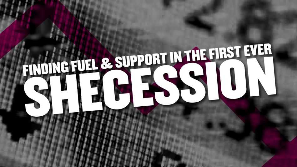 Finding Fuel and Support In the First Shecession