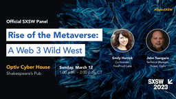 Rise of the Metaverse: A Web 3 Wild West