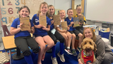 Unleashing the Potential: Therapy Dogs in Education