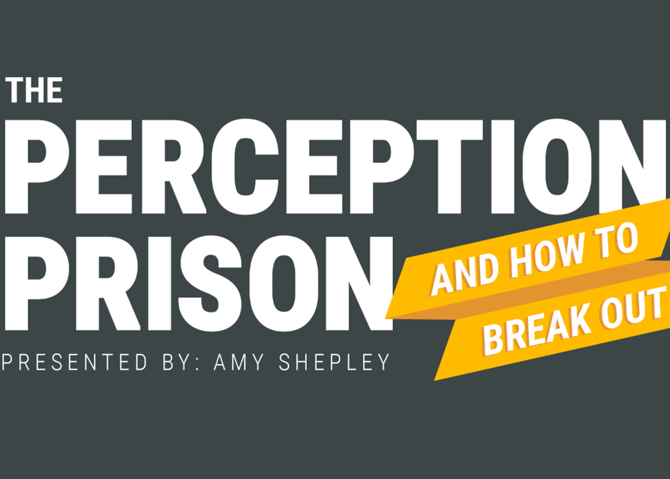 The Perception Prison and How to Break Out