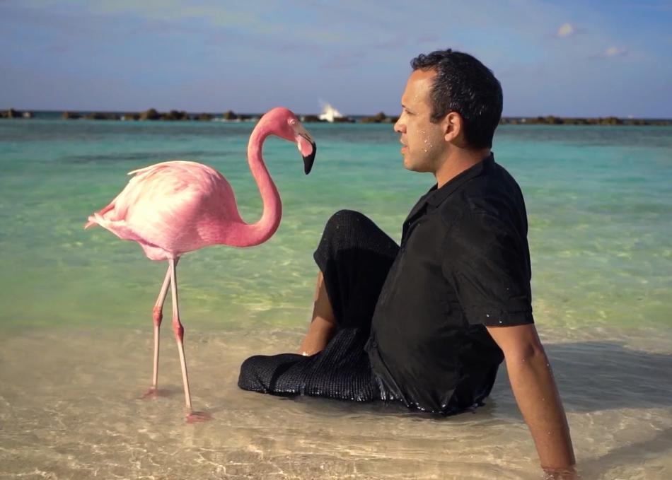 The Mystery of the Pink Flamingo's image 1