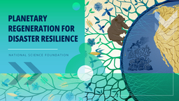 Planetary Regeneration for Disaster Resilience