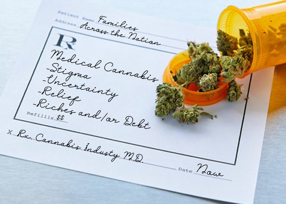 Medical Cannabis: From Rogue to Recovery to Riches