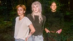 Sour Widows