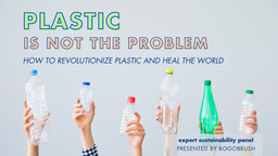 Plastic is not the Problem