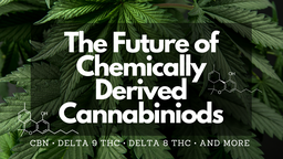 The Future of Chemically Derived Cannabinoids