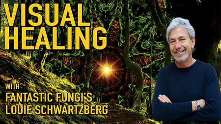 Featured Session: Visual Healing: Fantastic Fungi's Louie Schwartzberg