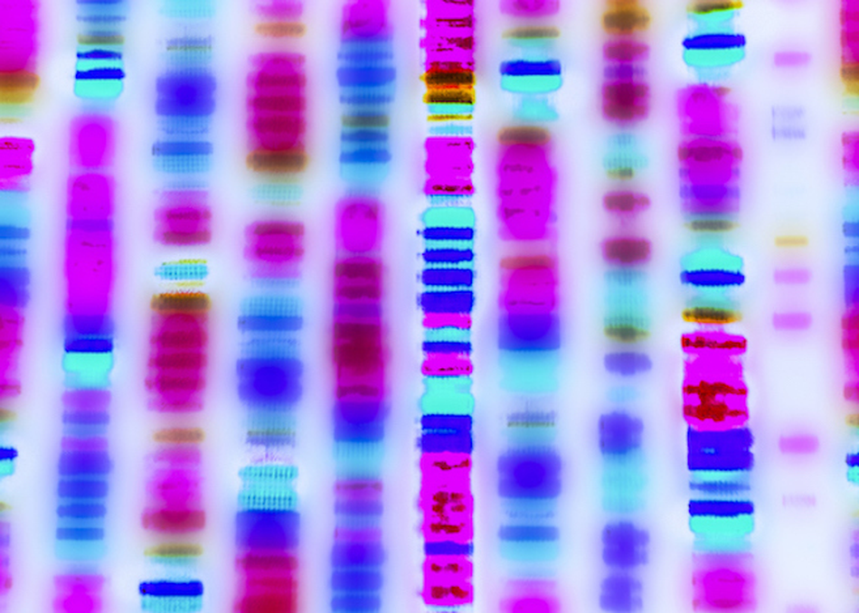 Sequence Me: Taking Personal Genomics Mainstream
