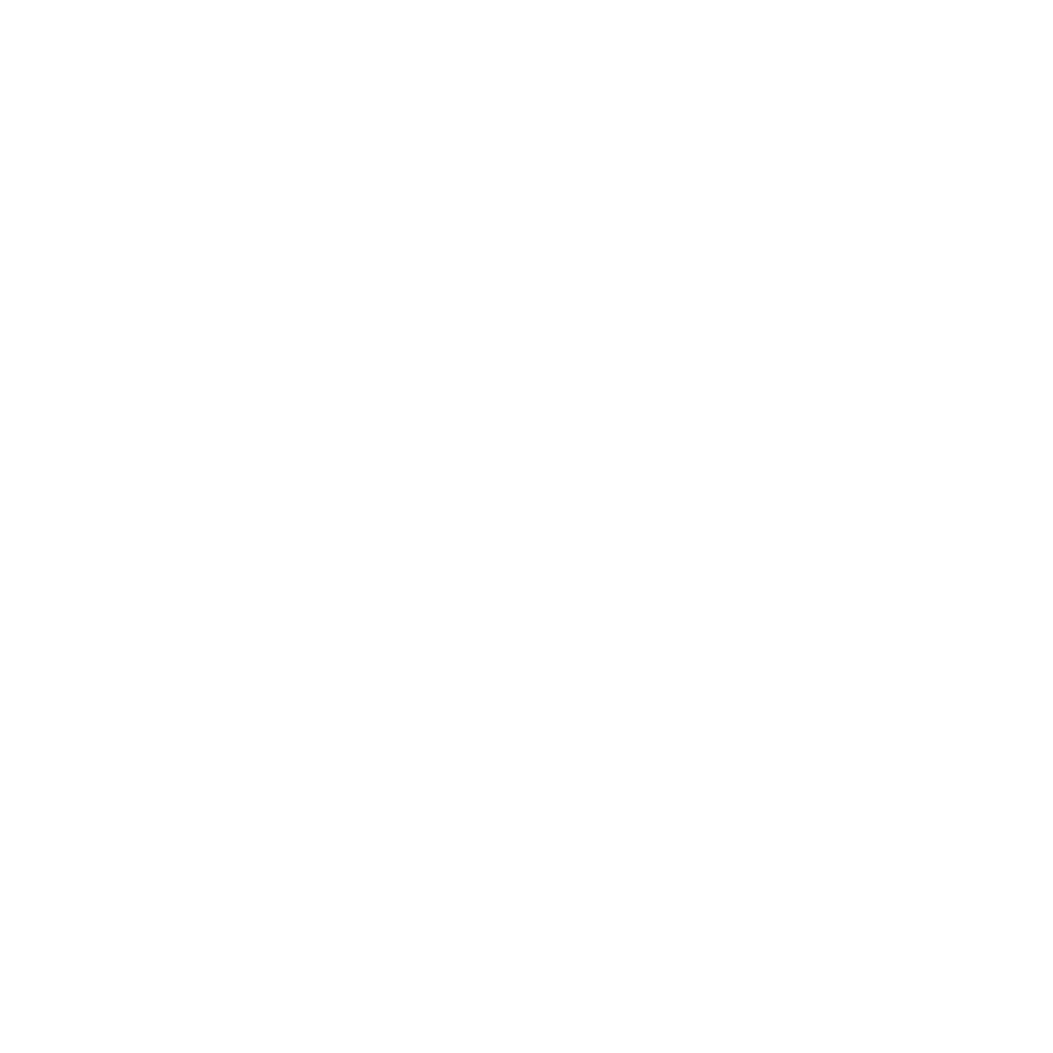 Stuffed Brain Studio