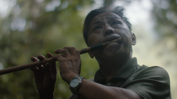 Birdsong