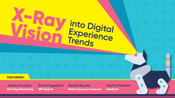 X-Ray Vision in the Changing Digital Experience
