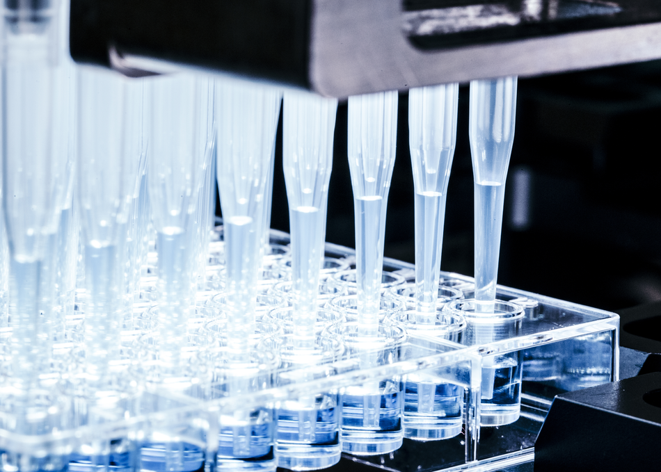 Nature Inspired Innovation: From Lab to Market