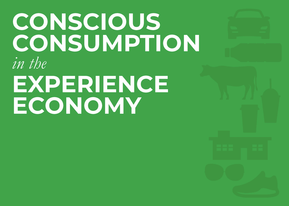 Conscious Consumption in the Experience Economy's image 1