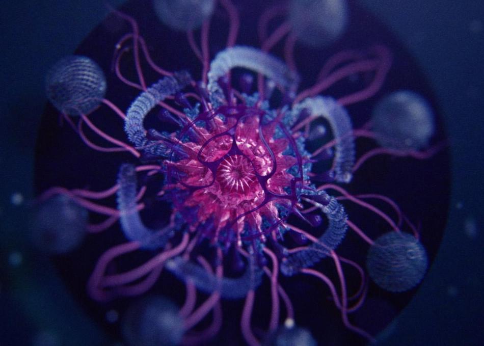 Title Design Program