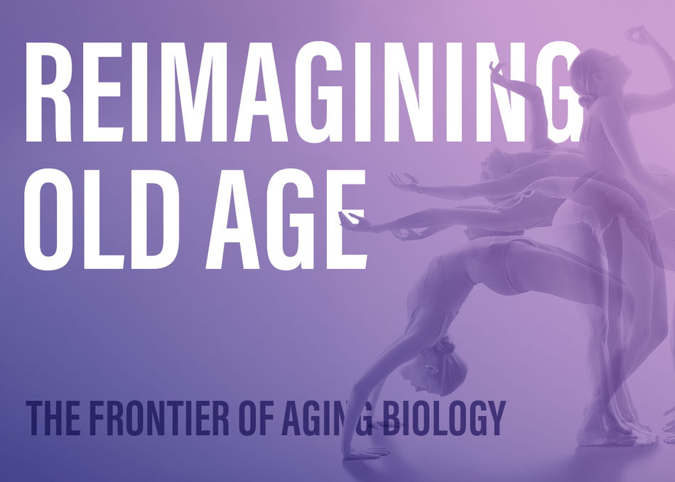 Reimagining Old Age: The Frontier of Aging Biology
