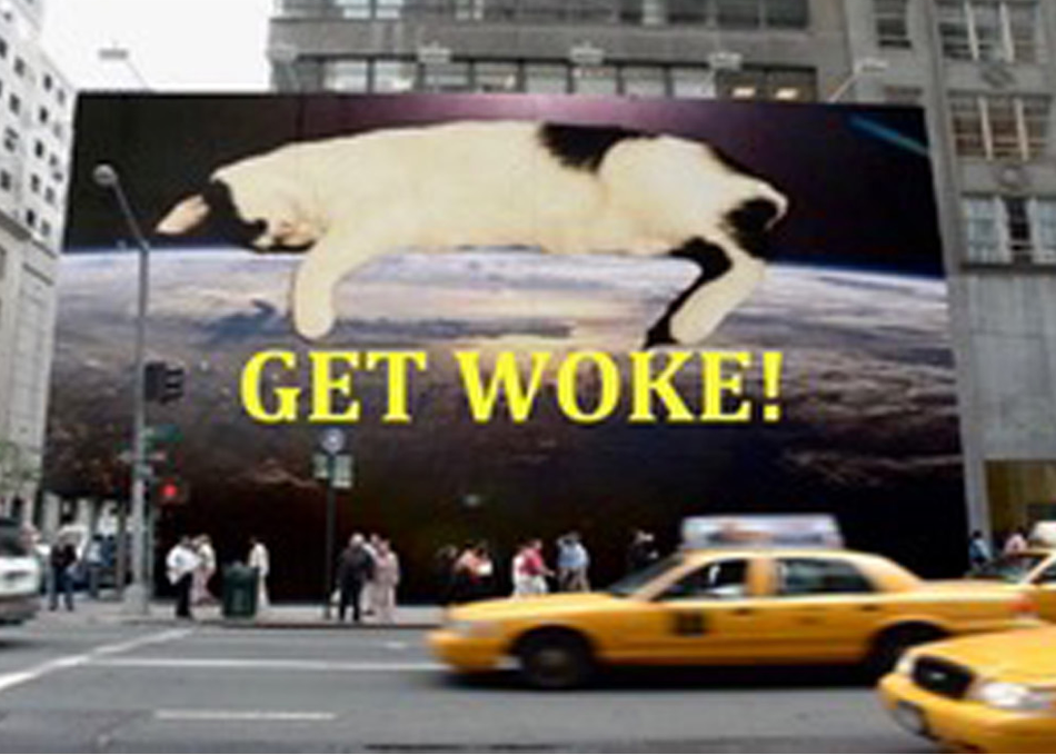Get Woke: A Psychic Guide to Affect Social Change