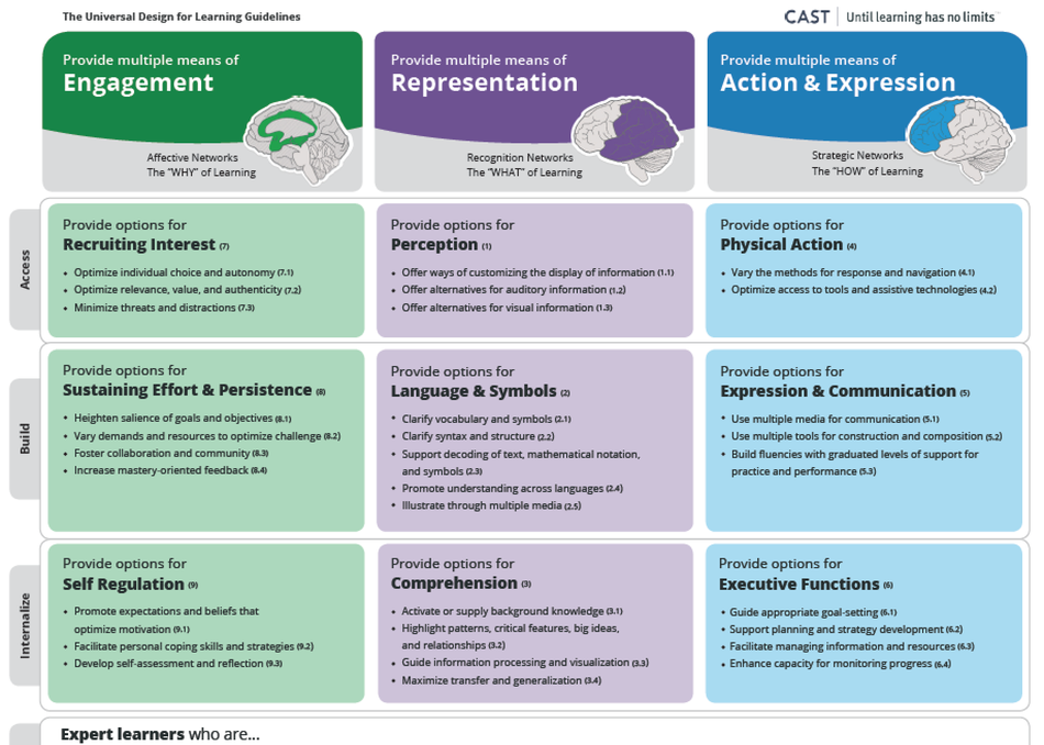 UDL: Designing for Learner Variability