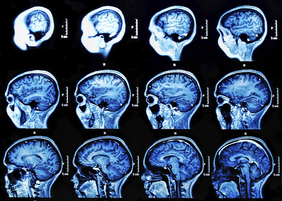 Putting Science into Practice: Birth to Graduation