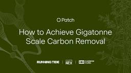 How to Achieve Gigatonne Scale Carbon Removal