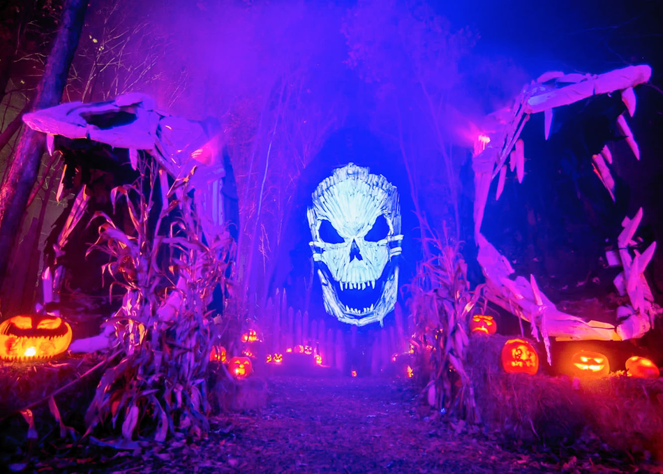 Immersive Horror Experiences
