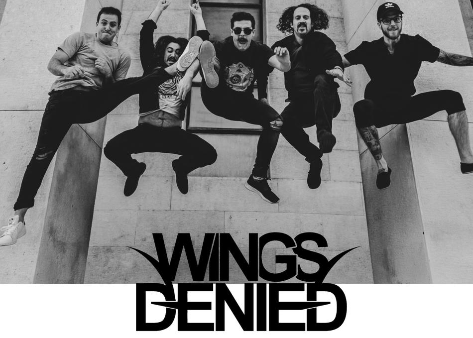 Wings Denied's image 1