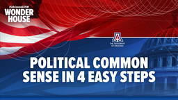Political Common Sense in Four Easy Steps